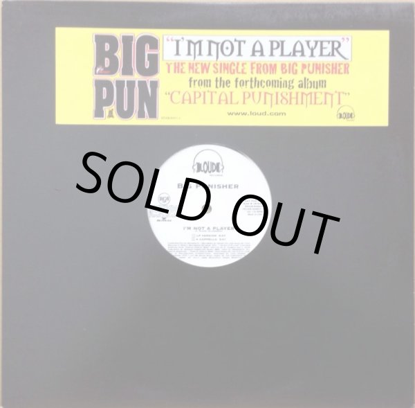画像1: BIG PUNISHER / I'M NOT A PLAYER (PROMO) (1)