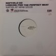 画像1: MARCELO D2 / LOOKING FOR THE PERFECT BEAT SAMPLER (1)