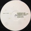 画像2: MARCELO D2 / LOOKING FOR THE PERFECT BEAT SAMPLER (2)