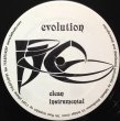 画像2: RISE / EVOLUTION (2)