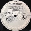 画像2: HELTAH SKELTAH / MAGNUM FORCE (2)