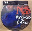 画像1: NAS / HIP HOP IS DEAD (PICTURE DISC) (1)