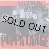 CENUBITES, THE / THE CENUBITES