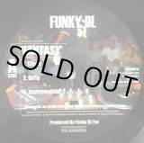 FUNKY DL / DAY BY DAY