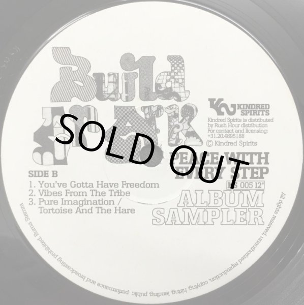 画像1: BUILD AN ARK / PEACE WITH EVERY STEP -ALBUM SAMPLER- (1)