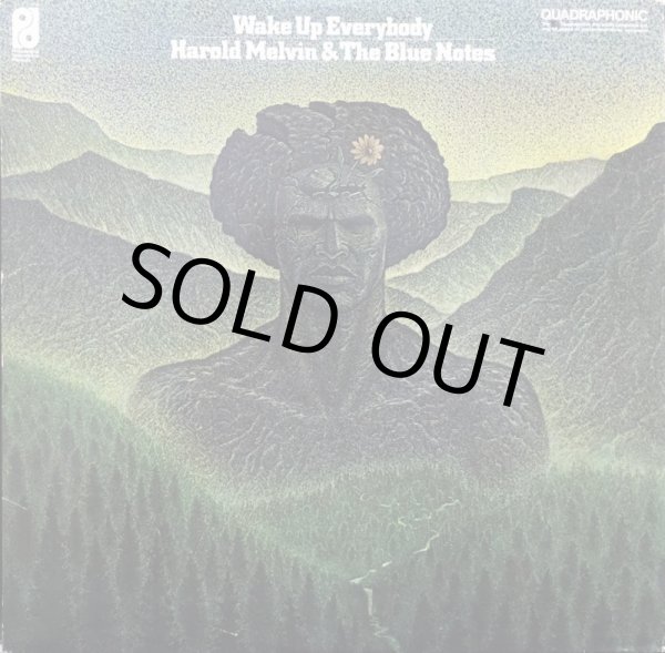 画像1: HAROLD MELVIN & THE BLUE NOTES / WAKE UP EVERYBODY (1)