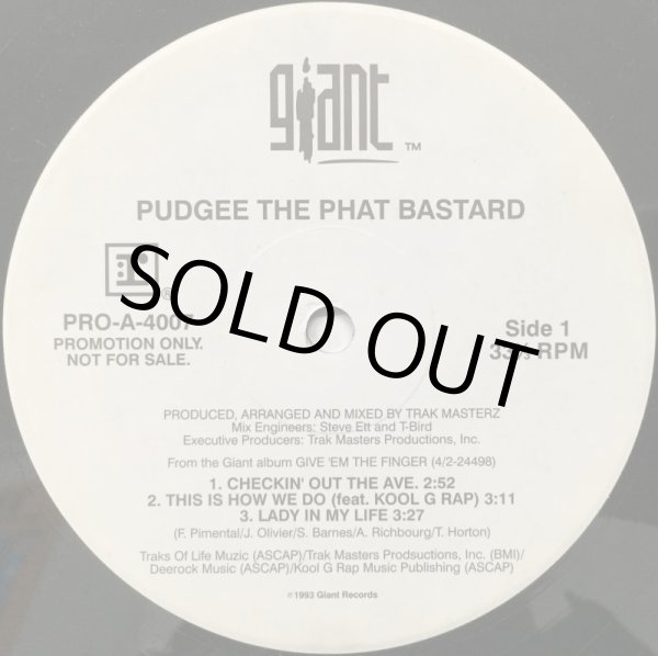 画像1: PUDGEE THE PHAT BASTARD / CHECKIN' OUT THE AVE. (BOOTLEG ALBUM SAMPLER) (1)