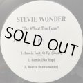STEVIE WONDER / SO WHAT THE FUSS (BOOT)