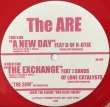 画像1: ARE, THE / A NEW DAY (1)