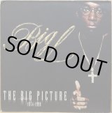 BIG L / HARLEM'S FINEST -A FREESTYLE HISTORY-