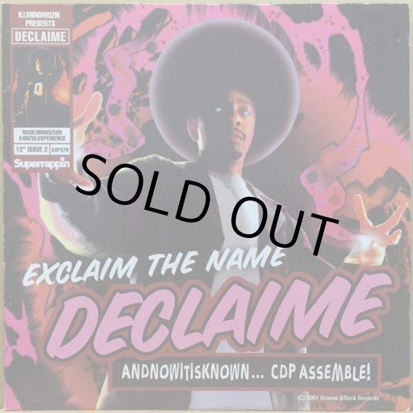 画像1: DECLAIME / EXCLAIM THE NAME (1)