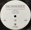 画像3: PSYCHO REALM / THE PSYCHO REALM (3)