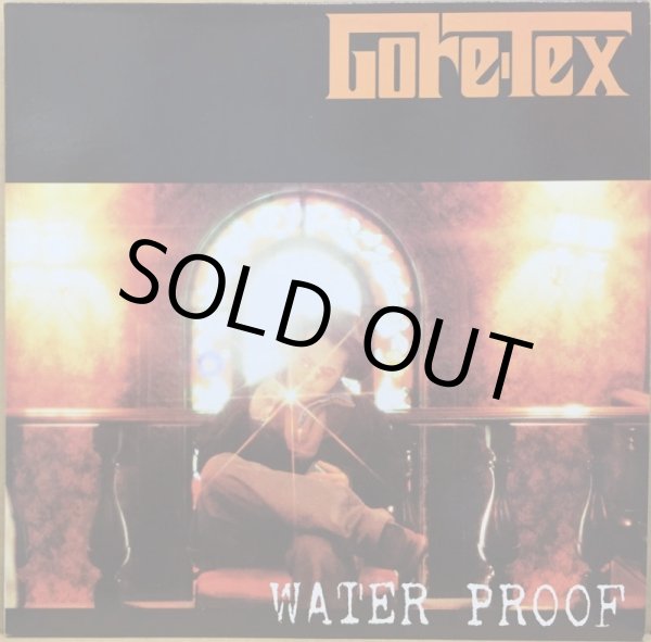 画像1: GORE-TEX / WATER PROOF (1)