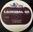 画像2: CANNIBAL OX / THE F WORD (2)