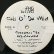 画像1: CALL O' DA WILD / SOMETIMES THE NEIGHBORHOOD (1)