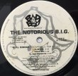 画像2: NOTORIOUS B.I.G., THE / DEAD WRONG (2)