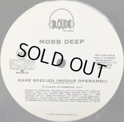 画像1: MOBB DEEP / RARE SPECIES -MODUS OPERANDI- (RE)
