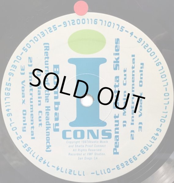 画像2: ICONS / BONBAY (2)