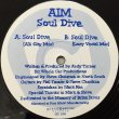 画像2: AIM / SOUL DIVE (2)