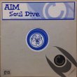 画像1: AIM / SOUL DIVE (1)