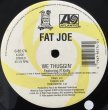 画像2: FAT JOE / WE THUGGIN' (2)