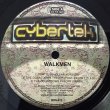 画像1: WALKMEN / FORTRUSS (1)