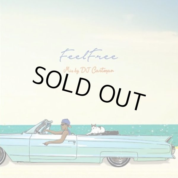 画像1: DJ CARTMAN / FEEL FREE (1)