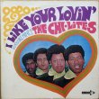 画像1: CHI-LITES, THE / LIKE YOUR LOVIN' (JPN) (1)