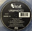 画像1: URBANITES / THE MOST (CLEAR VINYL) (1)
