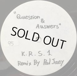 画像1: KRS-ONE / QUESTIONS AND ANSWERS -PAL JOEY REMIX-