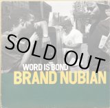 BRAND NUBIAN / FOUNDATION BRAND NUBIAN / FOUNDATION