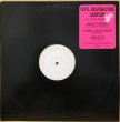 画像1: VINYL REANIMATORS / SAMPLER (ALL NEW REMIXES) (1)