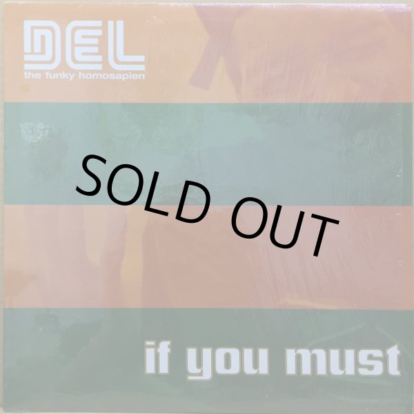 画像1: DEL THE FUNKY HOMOSAPIEN / IF YOU MUST (1)