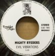 画像1: FAMILY TREE・MIGHTY RYEDERS / FAMILY TREE・EVIL VIBRATIONS (BOOT 7") (1)