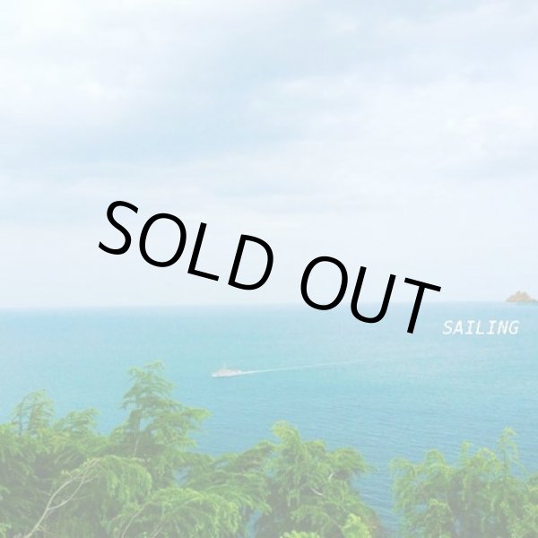 画像1: tajima hal / SAILING LP (1)
