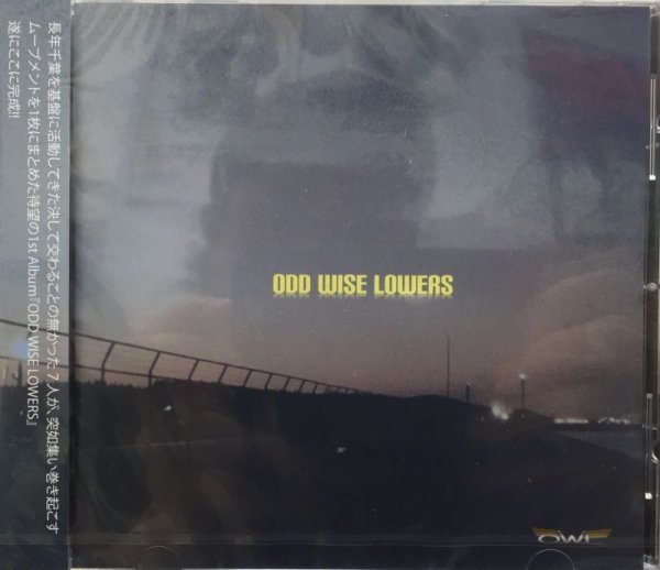 画像2: O.W.L / ODD WISE LOWERS (2)
