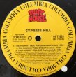 画像2: CYPRESS HILL / THE PHUNCKY FEEL ONE (2)