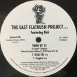 画像1: EAST FLATBUSH PROJECT / TRIED BY 12 (RE 2) (1)