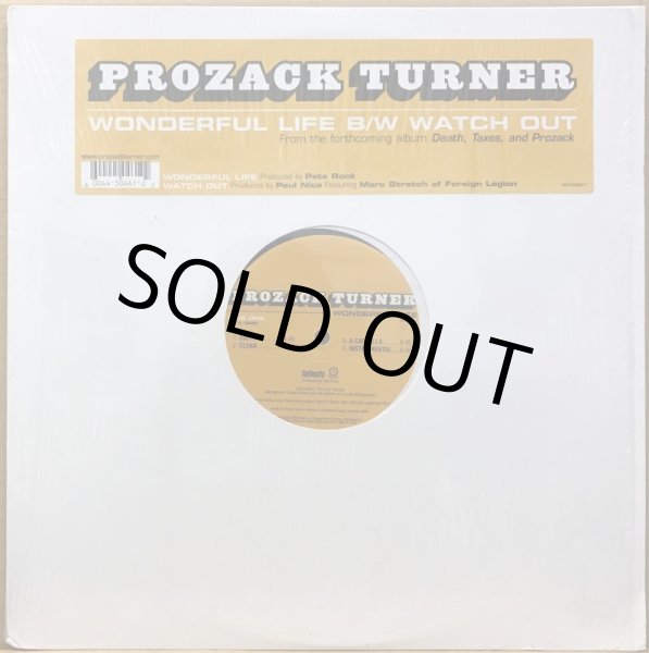 画像1: PROZACK TURNER / WONDERFUL LIFE (1)