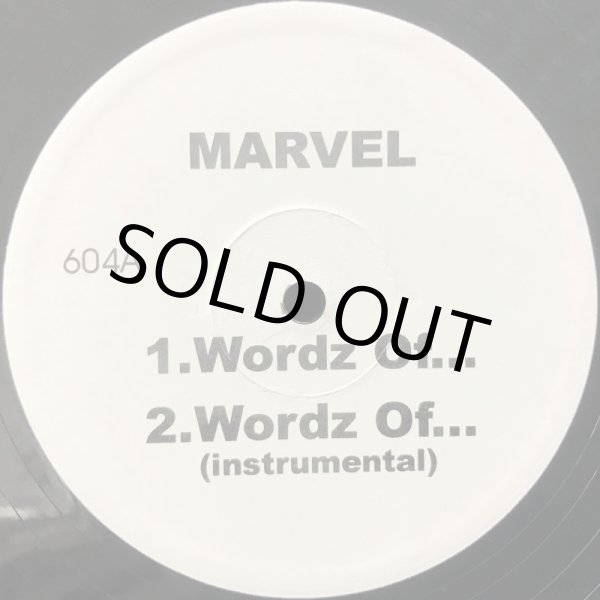 画像1: MARVEL / WORDZ OF... (1)