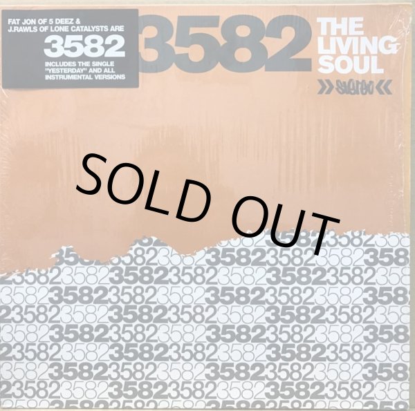 画像1: 3582 / THE LIVING SOUL (ORANGE) (1)
