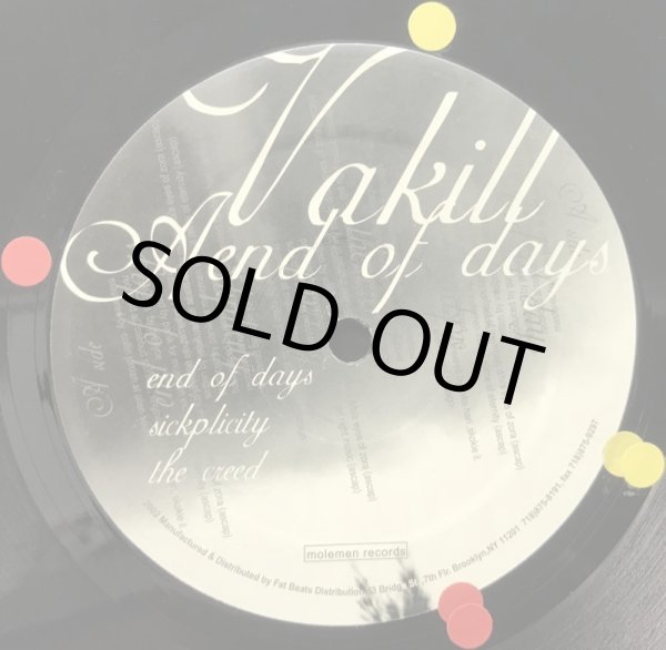 画像2: VAKILL / END OF DAYS (2)