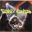 画像1: LORDS OF THE UNDERGROUND / FUNKY CHILD (1)
