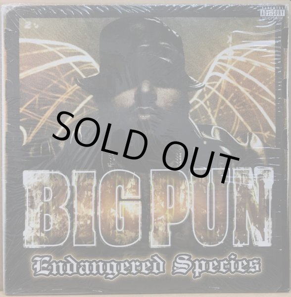 画像1: BIG PUN / ENDANGERED SPECIES (1)