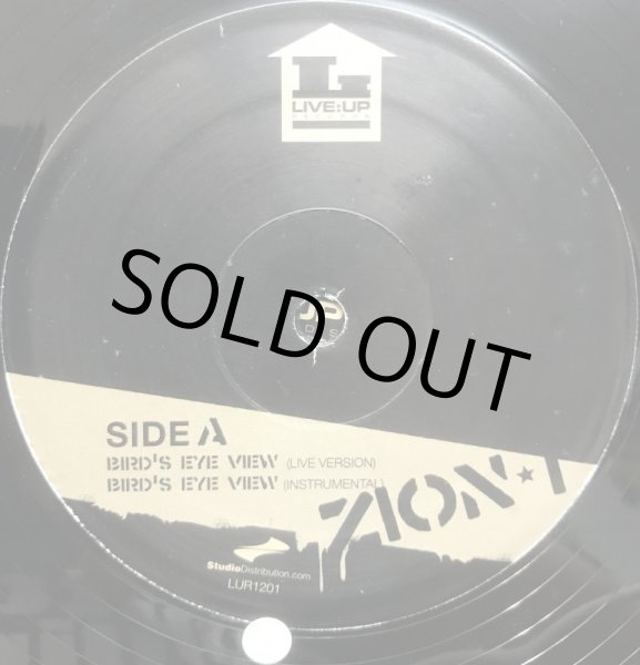 画像2: ZION I / BIRD'S EYE VIEW (2)