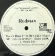 画像2: REDMAN / THAT'S HOW IT IS (IT'S LIKE THAT) (2)