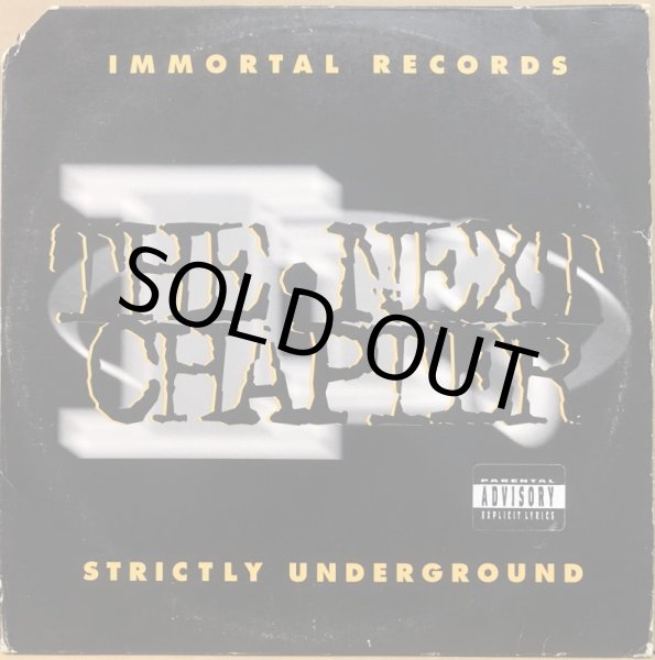 画像1: V.A. / THE NEXT CHAPTER -STRICTLY UNDERGROUND- (1)