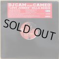 DJ CAM feat. CAMEO / "LOVE JUNKEE" DILLA REMIX