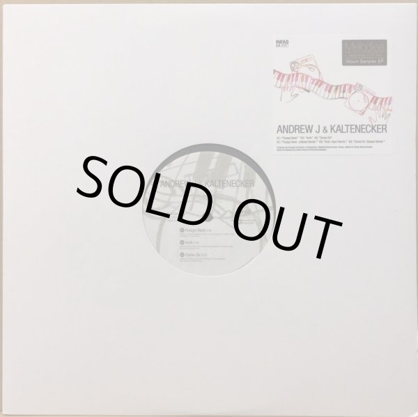 画像1: ANDREW J & KALTENECKER / MELODIES ALBUM SAMPLER EP (1)