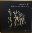 画像1: JESTOFUNK / LOVE IN A GOLD DIMENSION (1)